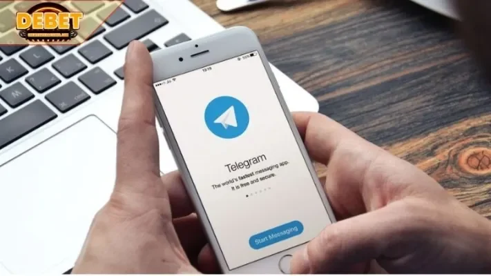 Liên hệ qua Telegram